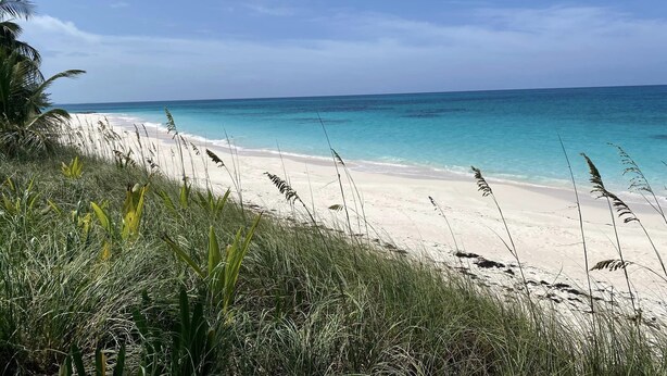 A beach with clear turquoise water and white sand, surrounded by green vegetation. - Sands of Time is ready for You  (Rainbow Bay)
