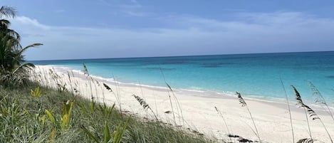 Serviettes de plage