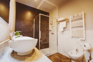 Shower, hair dryer, bidet, towels