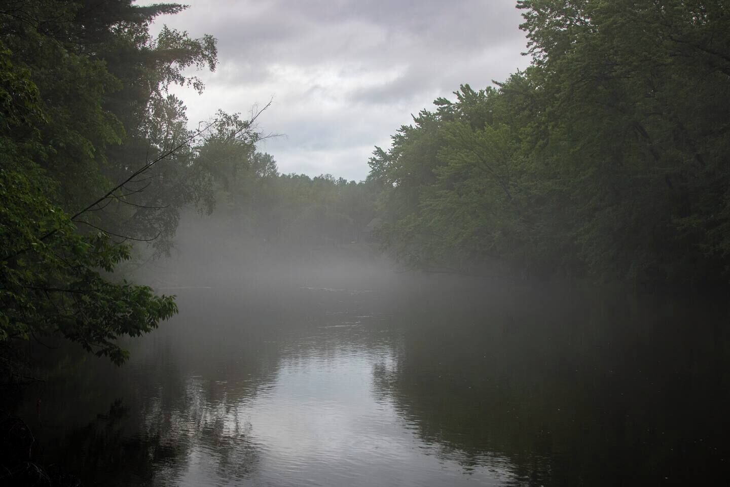Ein Fluss, von dichtem Wald umgeben, mit Nebel über dem Wasser.