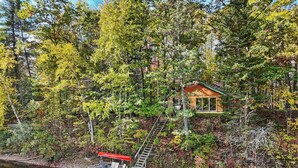A cabin surrounded by trees, a dock with a boat, and a staircase leading to the cabin. - Riverfront | Hot Tub, Fireplace, Kayaks & Tubes (Evart)