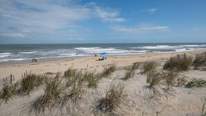 En strand med klitter og et træhegn.