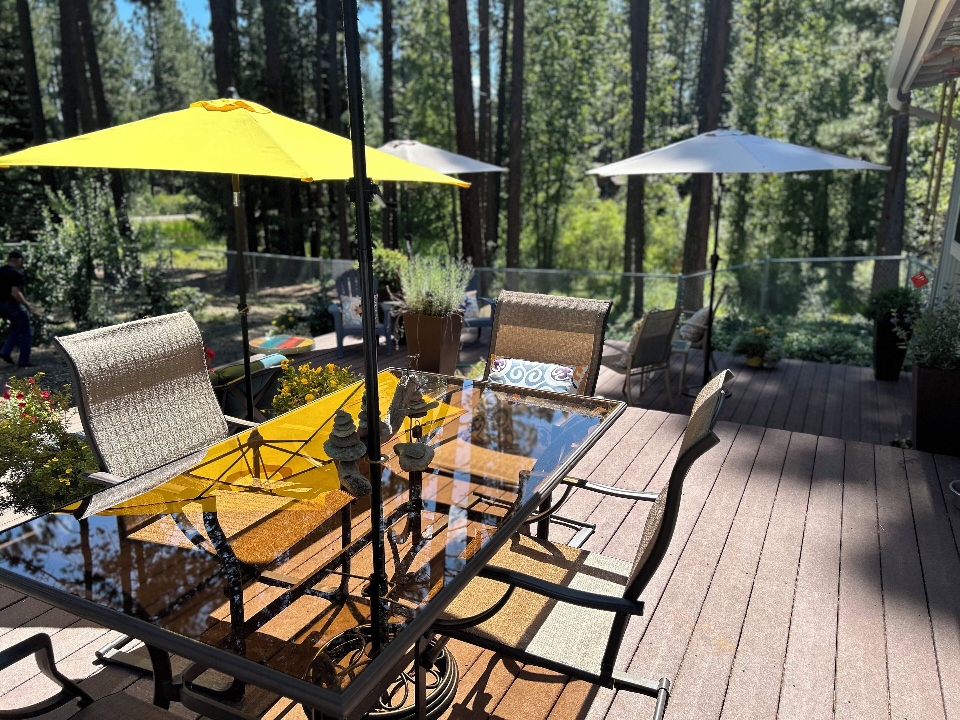 Cozy Evergreen Cabin, walking distance from Plumas Pines golf course 