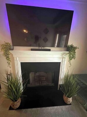 Cozy living room with a fireplace, flat-screen TV, and potted plants.