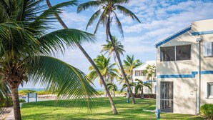 Une propriété située en bord de mer, dotée d’une pelouse bien entretenue, de palmiers et d’un bâtiment à deux étages avec de grandes fenêtres.