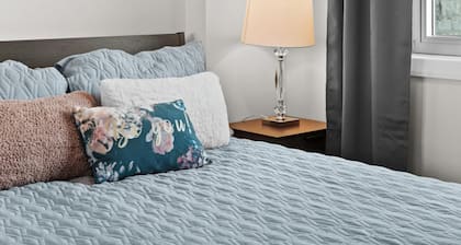 Gorgeous Downtown Calgary Condos