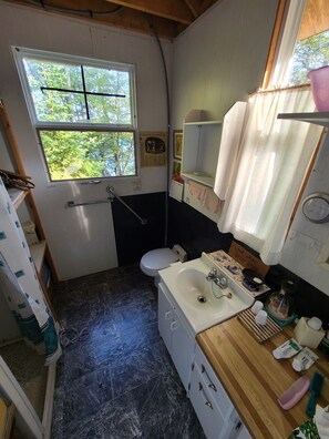 Shower, soap, shampoo, toilet paper