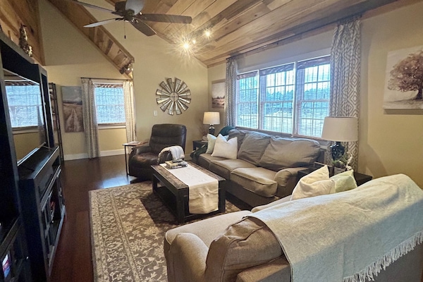 Smart-TV, DVD-Player, Bücher, Videothek