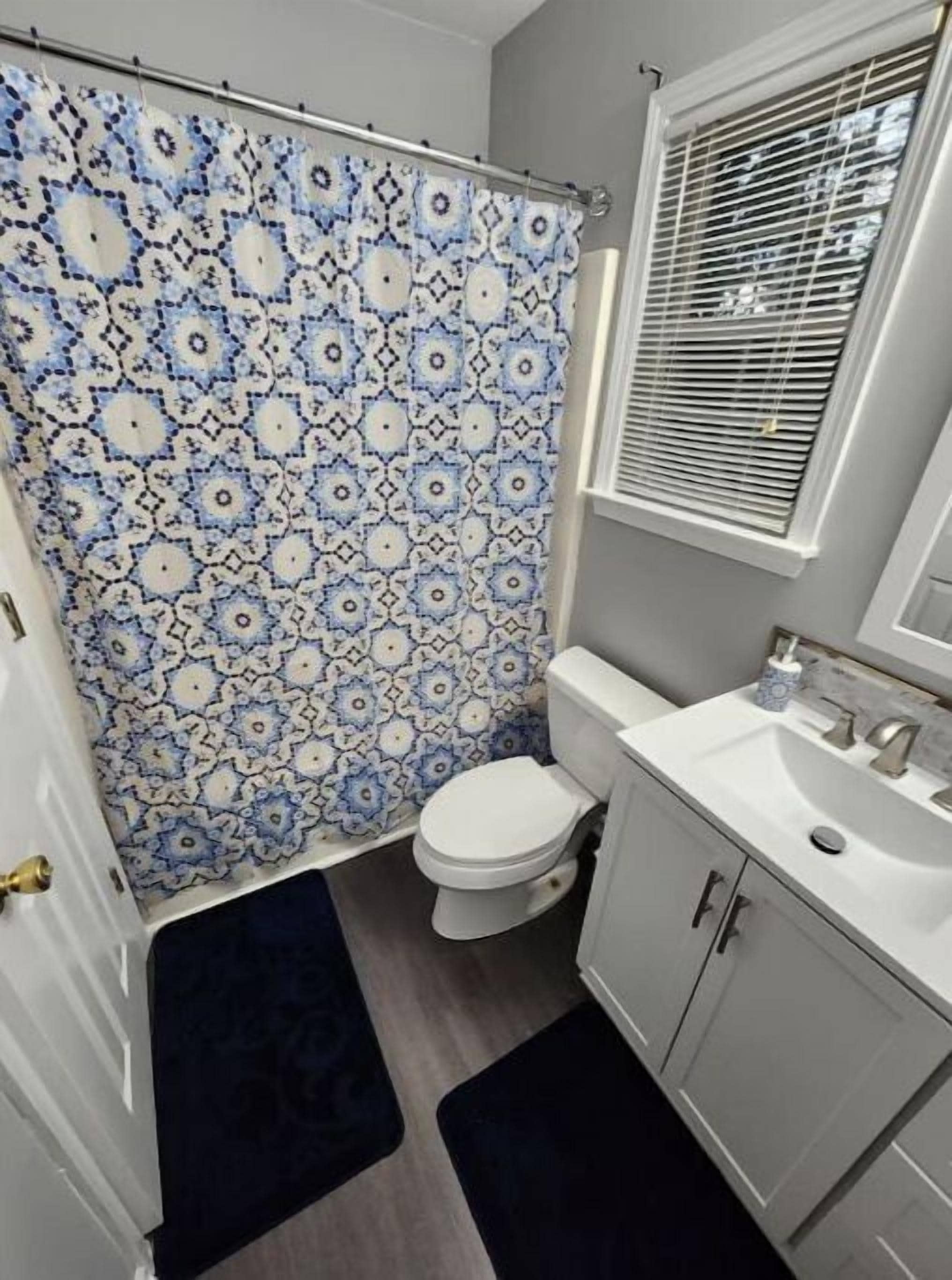 Hair dryer, towels, soap, toilet paper