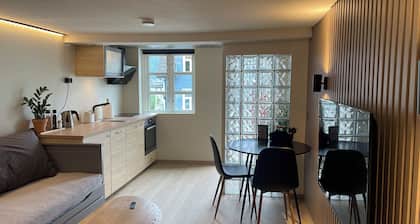 New Studio in Centrum 600m, Parking,EVCharge
