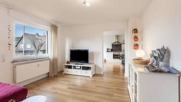 TV, lettore DVD, impianto stereo