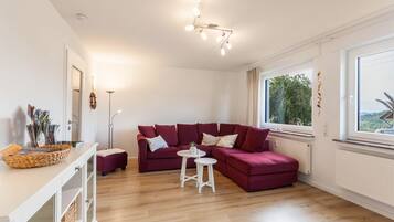 Fernseher, DVD-Player, Stereoanlage