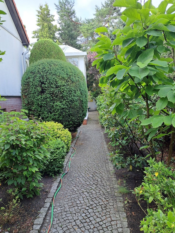 Ein Gartenweg führt zu einem Haus mit einer ordentlich geschnittenen Hecke und verschiedenen Sträuchern.