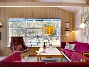 Fernseher, Kamin, DVD-Player