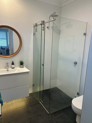 Un baño moderno con ducha envuelta en vidrio, un lavamanos blanco con espejo y un inodoro.