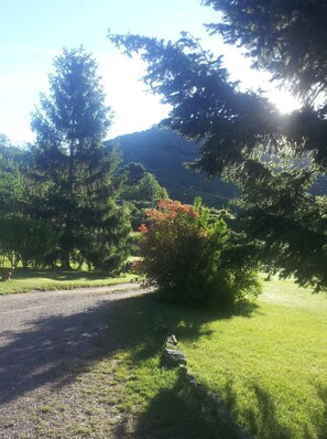 Property grounds - Exclusive apartment with fireplace (Castelfranco Piandiscò)
