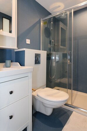 Shower, hair dryer, towels