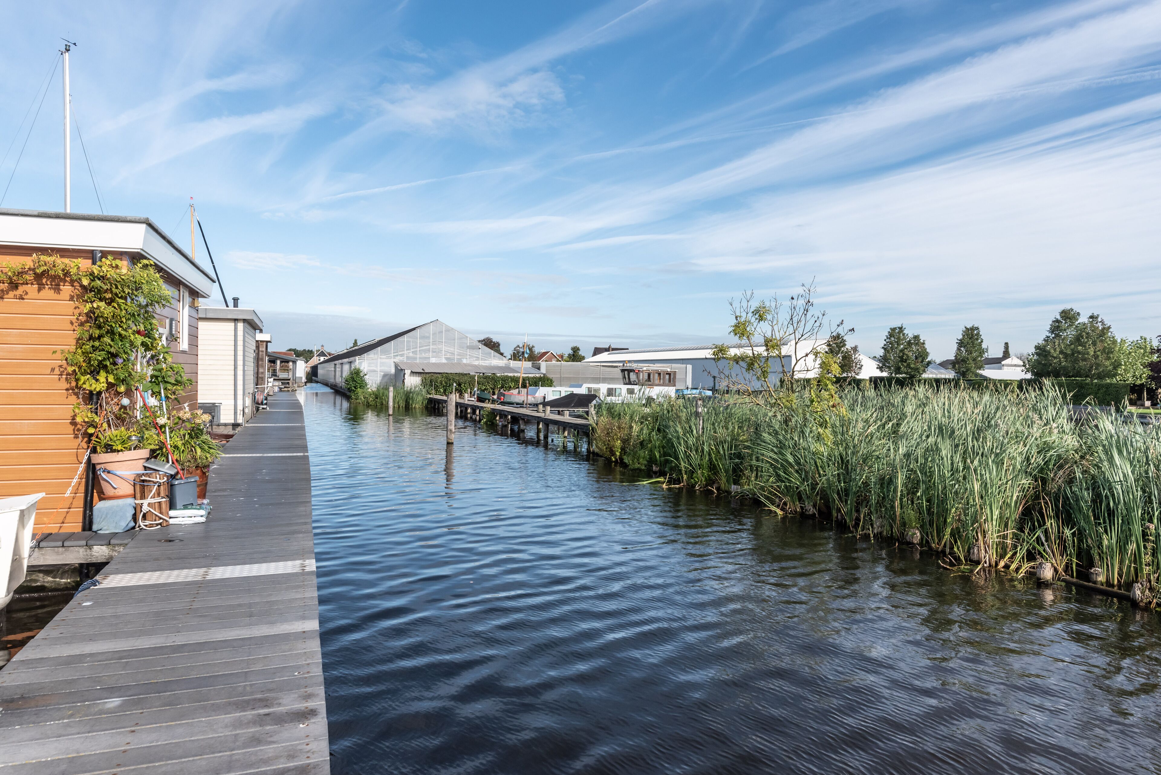 A canal-side walkway with a wooden dock, a greenhouse, and a row of houses.