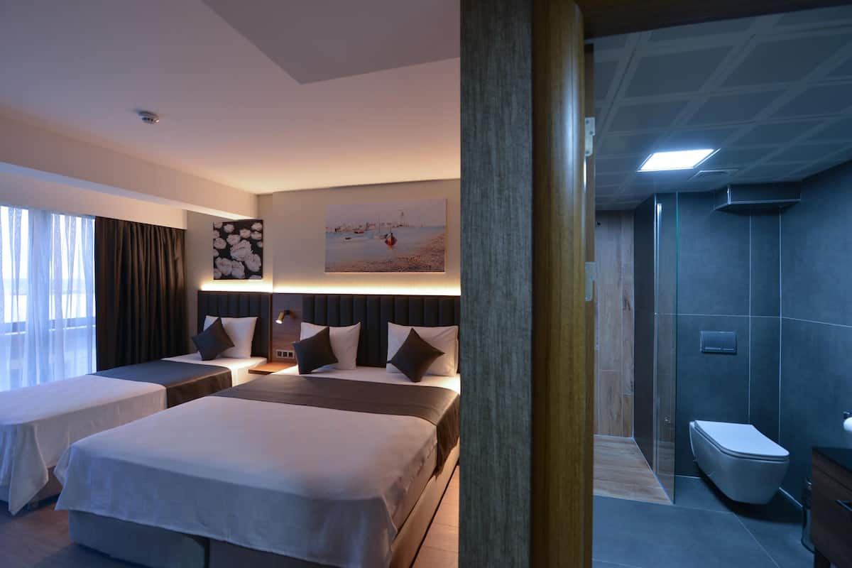 Deluxe Triple Room | 1 habitación, ropa de cama de alta calidad y edredón