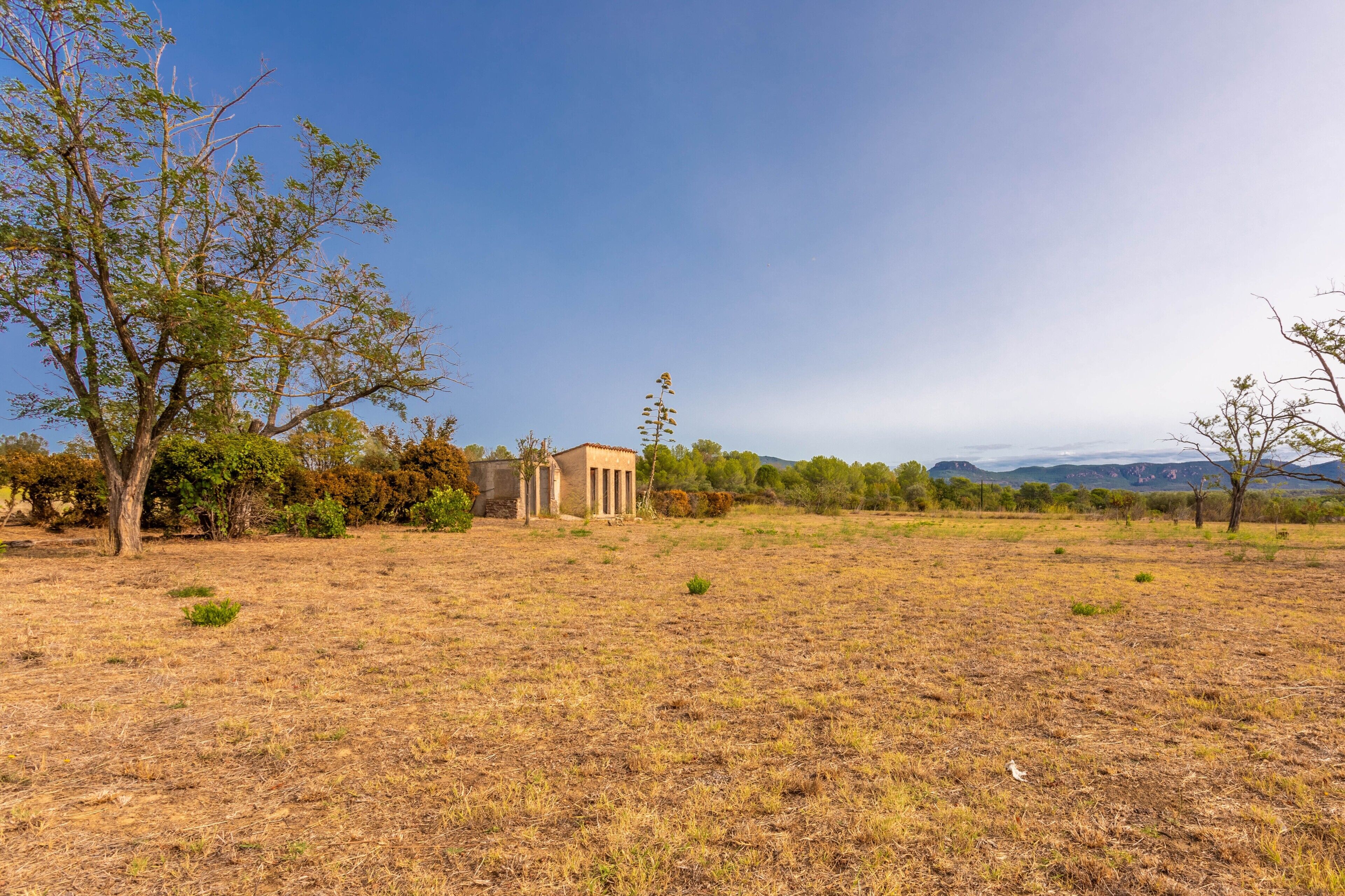 A dry, grassy field with a building featuring columns, surrounded by trees and distant mountains.