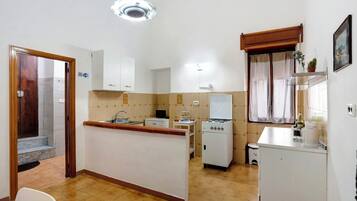 Fridge, stovetop, cookware/dishes/utensils, spices