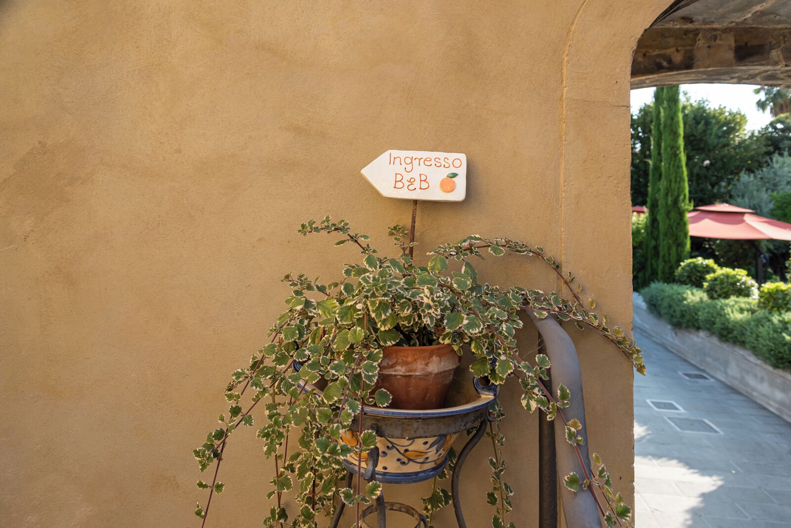 Una planta en maceta con un letrero que dice 'Ingresso BeB' contra una pared.