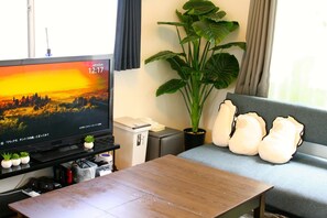 Televisión 