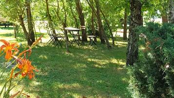 Terrein van de accommodatie