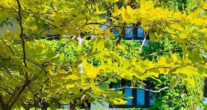 Beverly Beach Mirissa