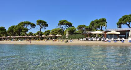Private villa w/ large pool, walking distance from beach, near Athens