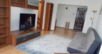 Cozy apartment, located near a vibrant main street ideal for short term retreat