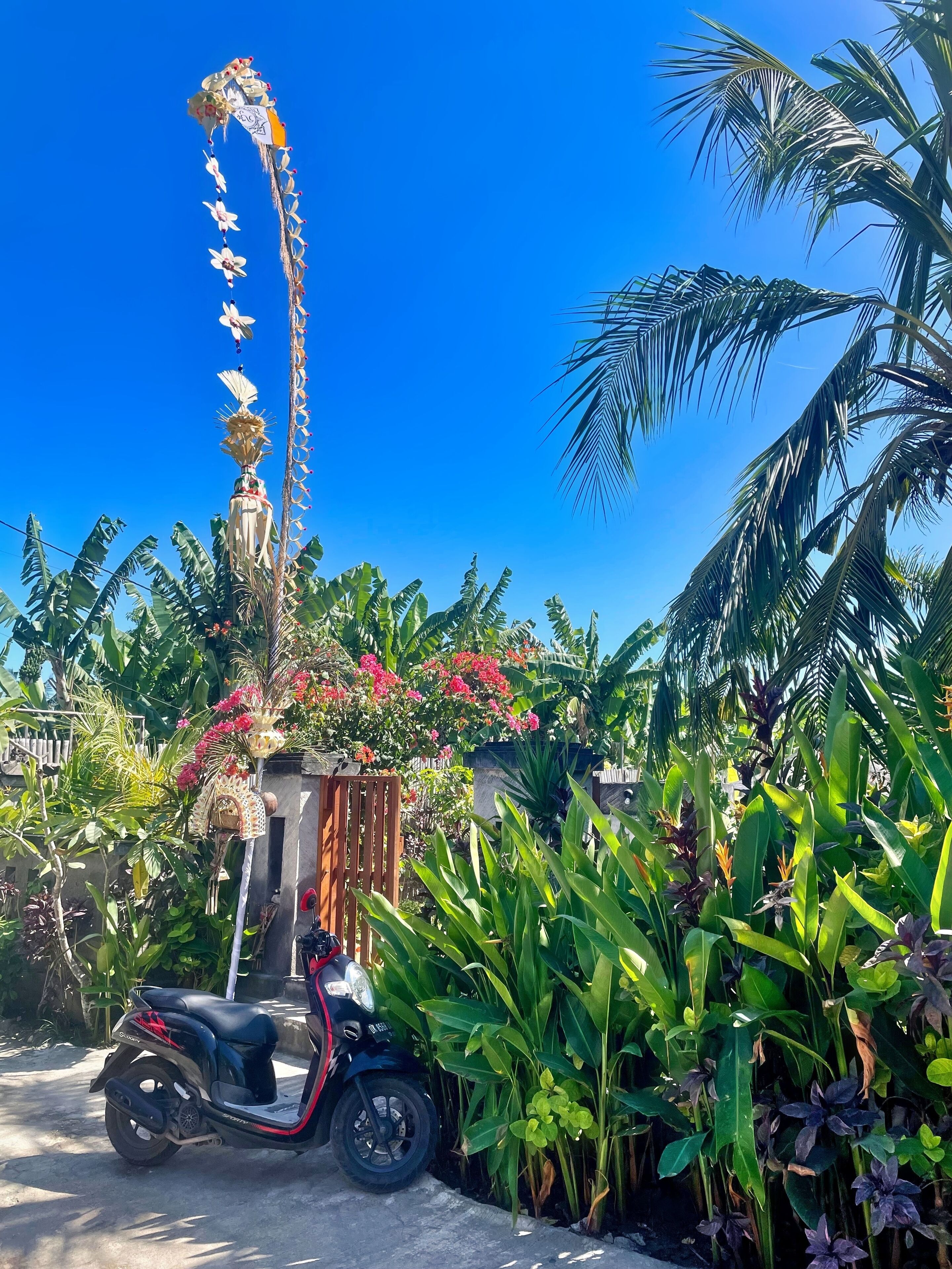 Een scooter geparkeerd in een weelderige tuin met diverse planten en een decoratieve constructie.