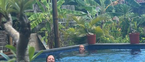 A swimming pool surrounded by lush tropical plants and a wooden fence.