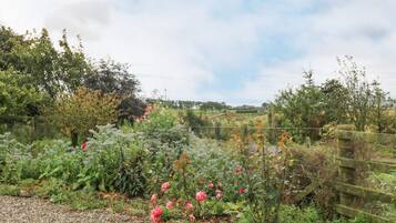 Cottage | Bahagian dalam