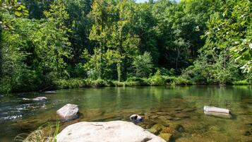 A clear river surrounded by dense forest.