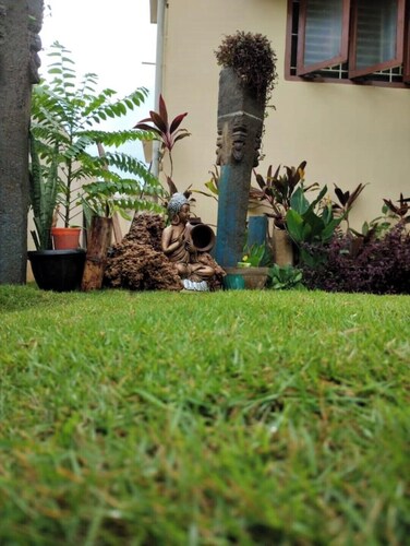 Shambhavi - On the way 2 isha-Adiyogi/Maruthamalai