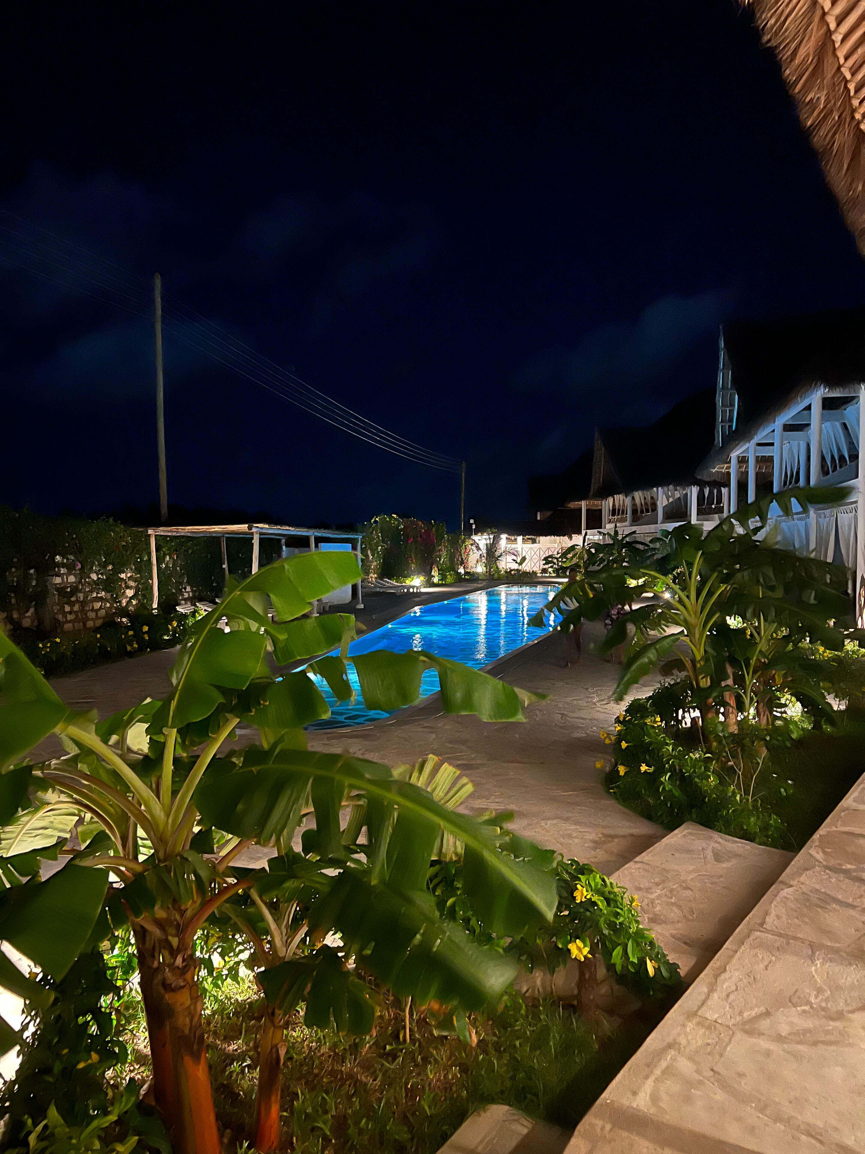 A nighttime view of a swimming pool surrounded by lush greenery and a thatched-roof building.
