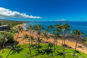 Un resort frente al mar con palmeras, una playa de arena y vistas al océano.
