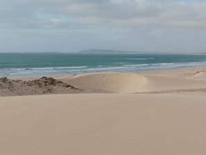 مناشف للشاطئ