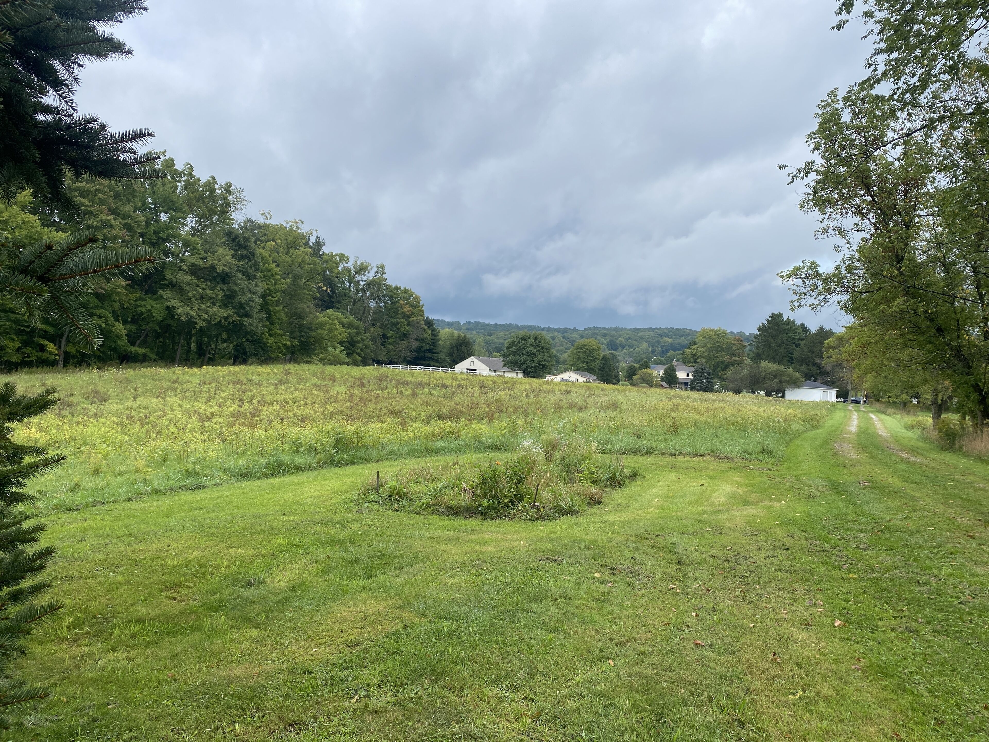 A grassy field with a white fence and houses in the background.