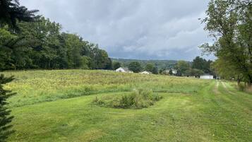 A grassy field with a white fence and houses in the background.