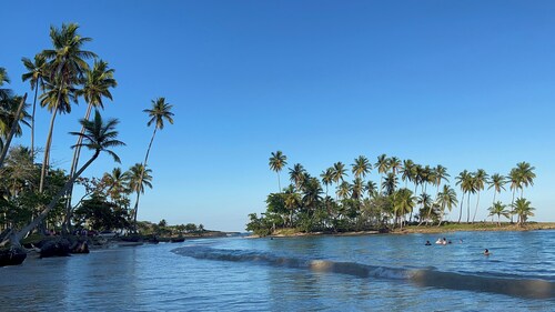 Cozy Home, close to the beach, great for couples, fam & remote workers!
