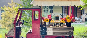 Glamping Getaway with kitchenette on Flower and Alpaca farm