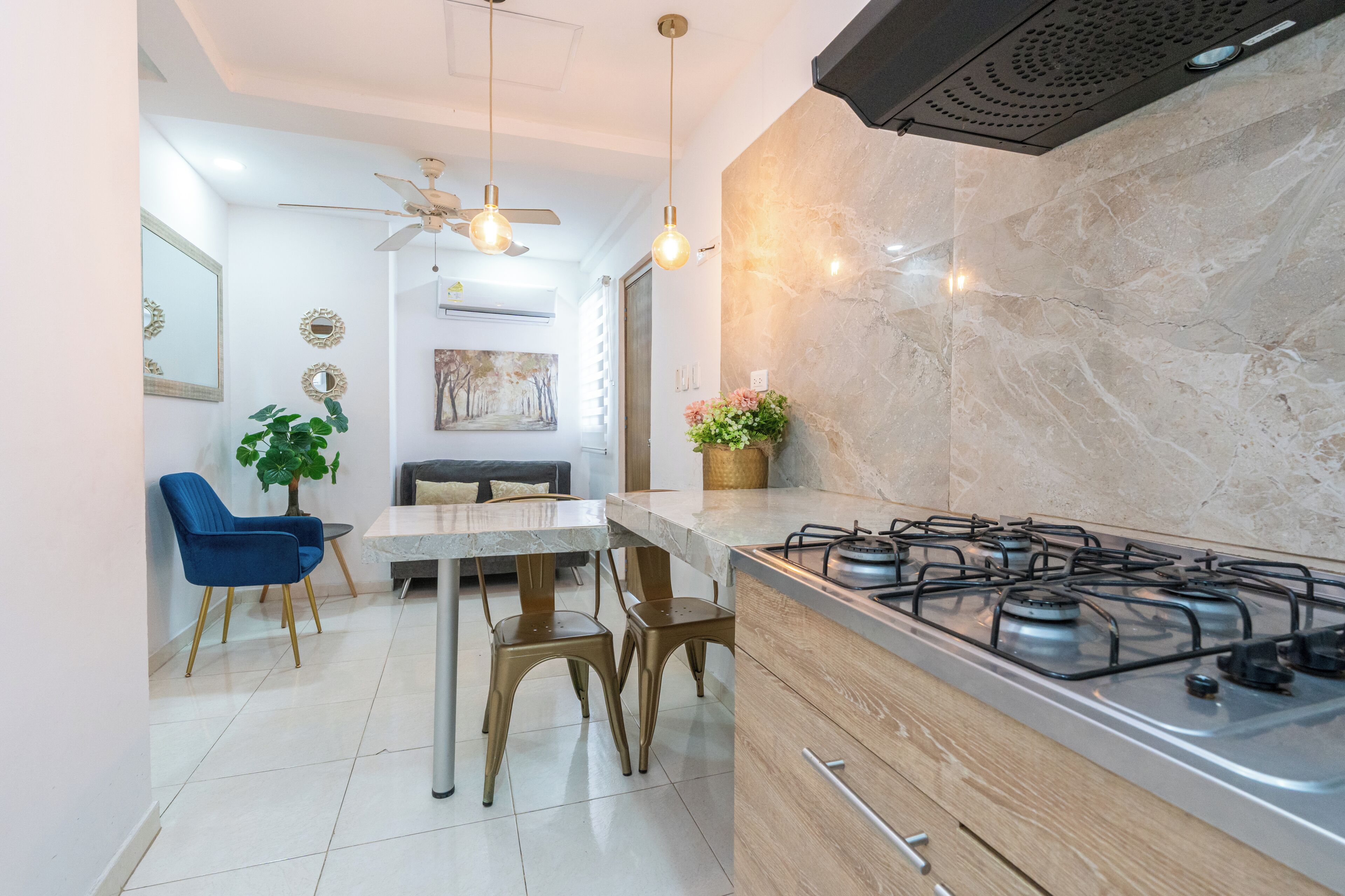 Family Apartment | Private kitchen | Griddle, cleaning supplies