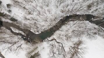 A river meandering through a snowy landscape with bare trees.