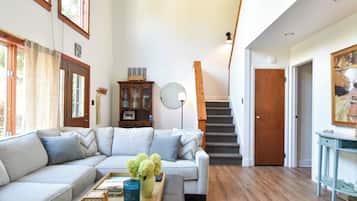 Smart TV, fireplace, books