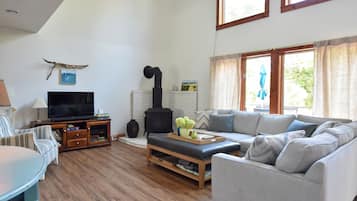 Smart TV, fireplace, books