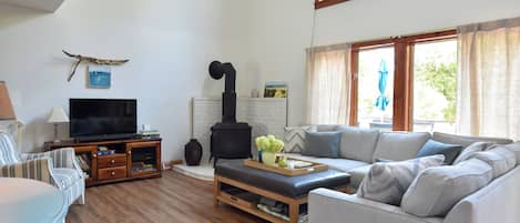 Smart TV, fireplace, books