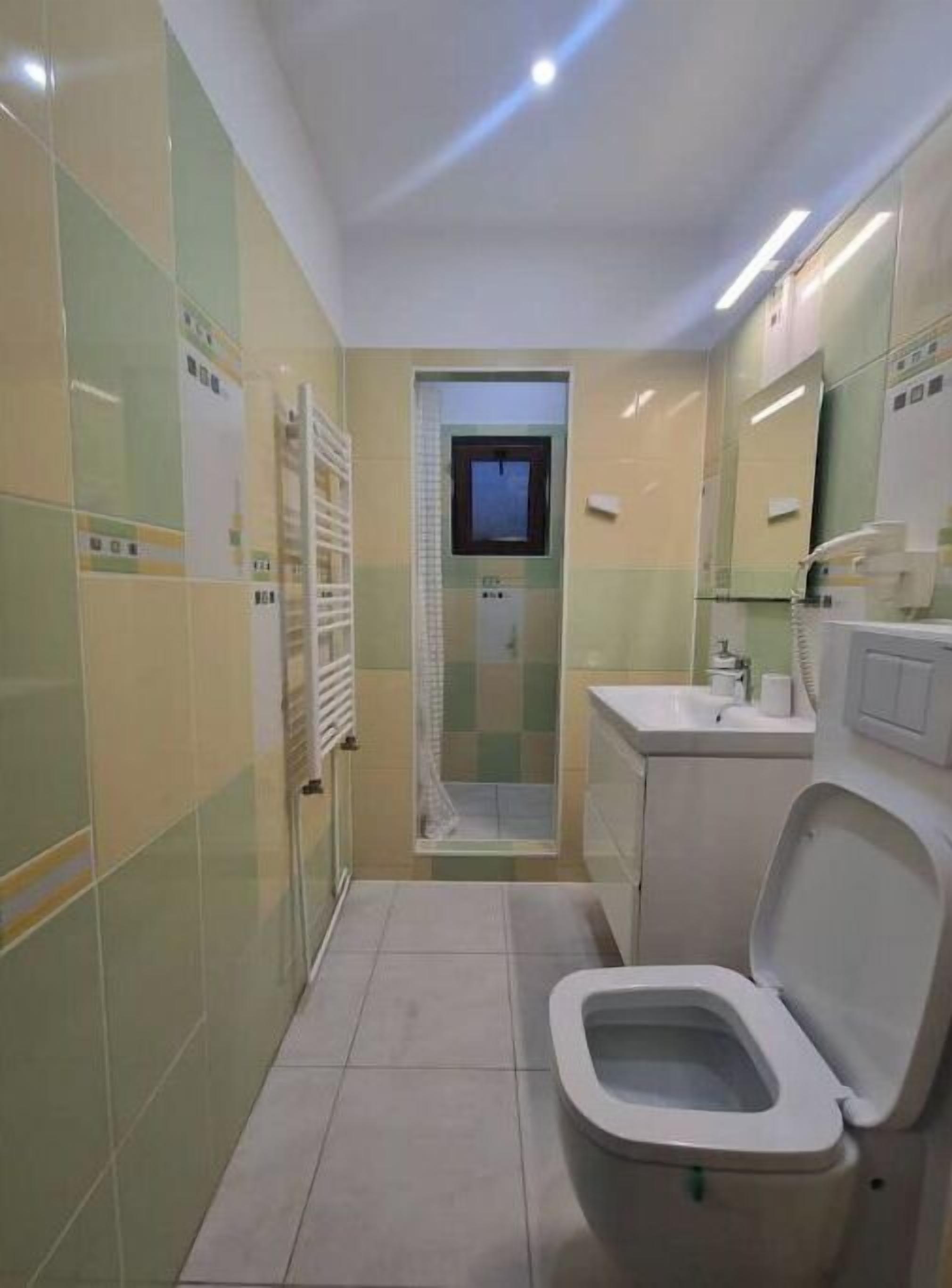 Une salle de bain avec des toilettes, un lavabo et une douche.