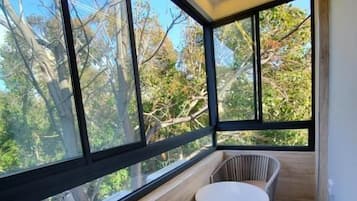 Deluxe Studio, 1 Queen Bed | Terrace/patio